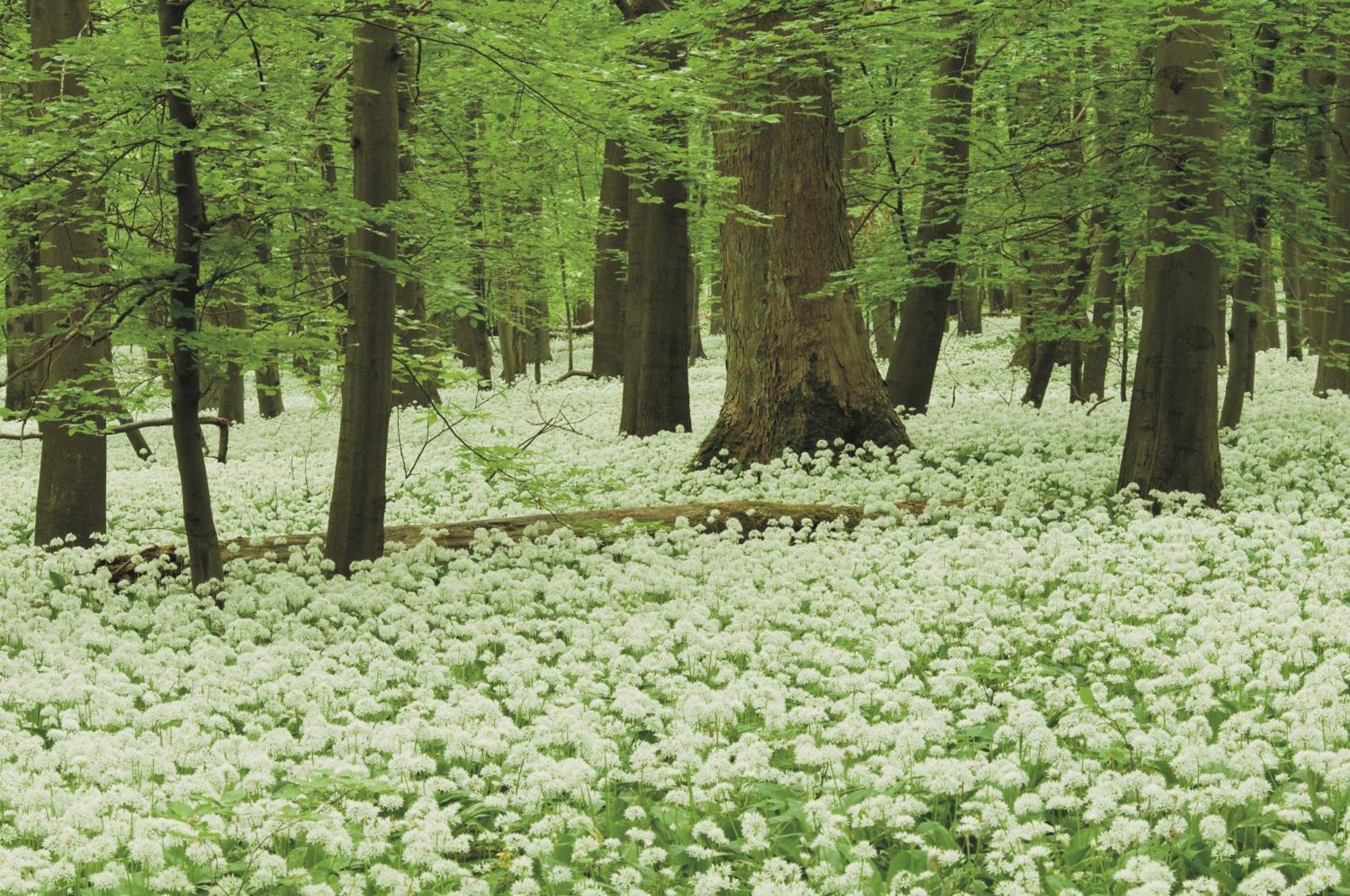 Pension Bergstube Bad Langensalza Exteriér fotografie